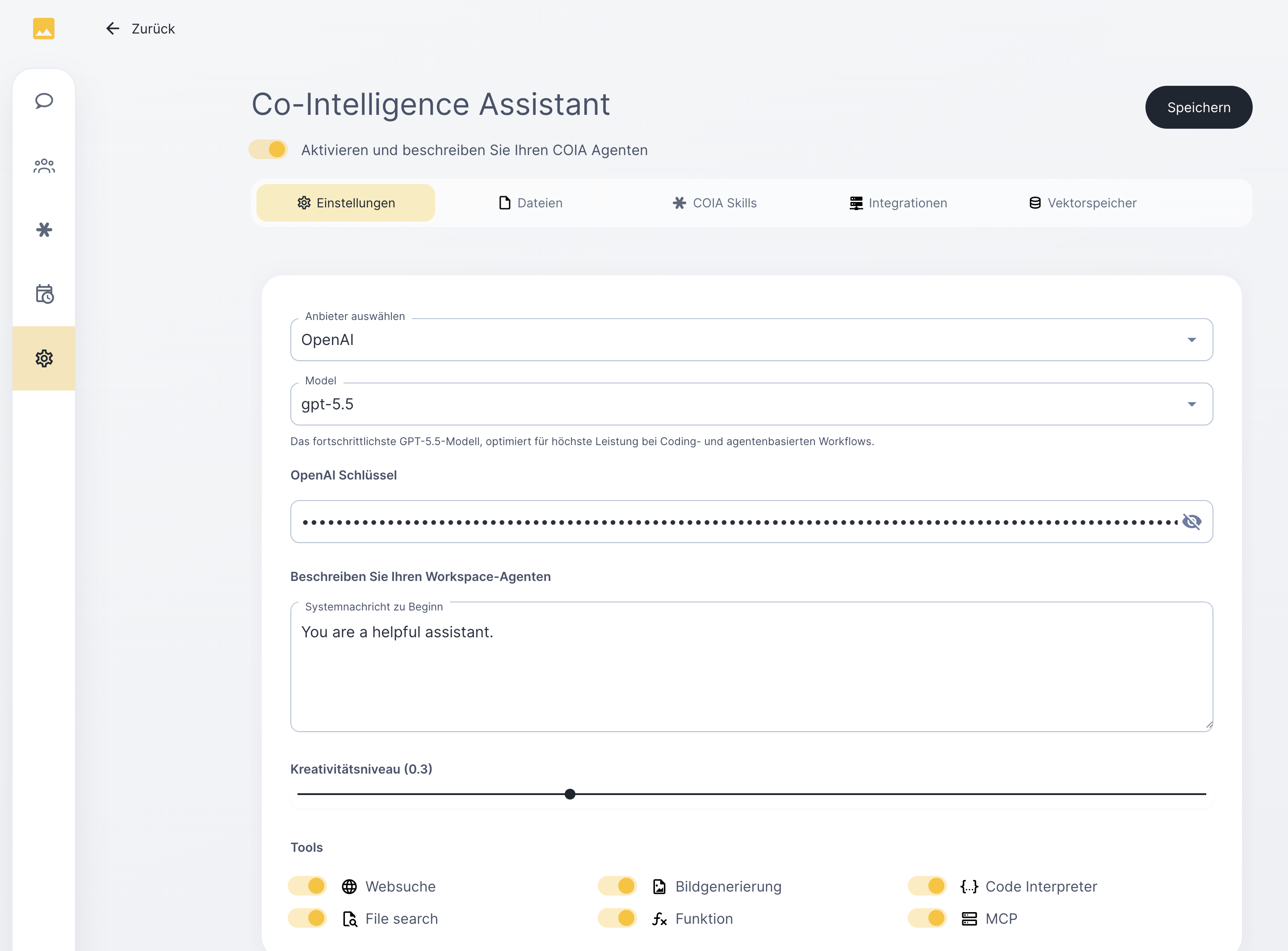 COIA-Einstellungen: Sprachmodell mit eigenem API-Schlüssel verbinden