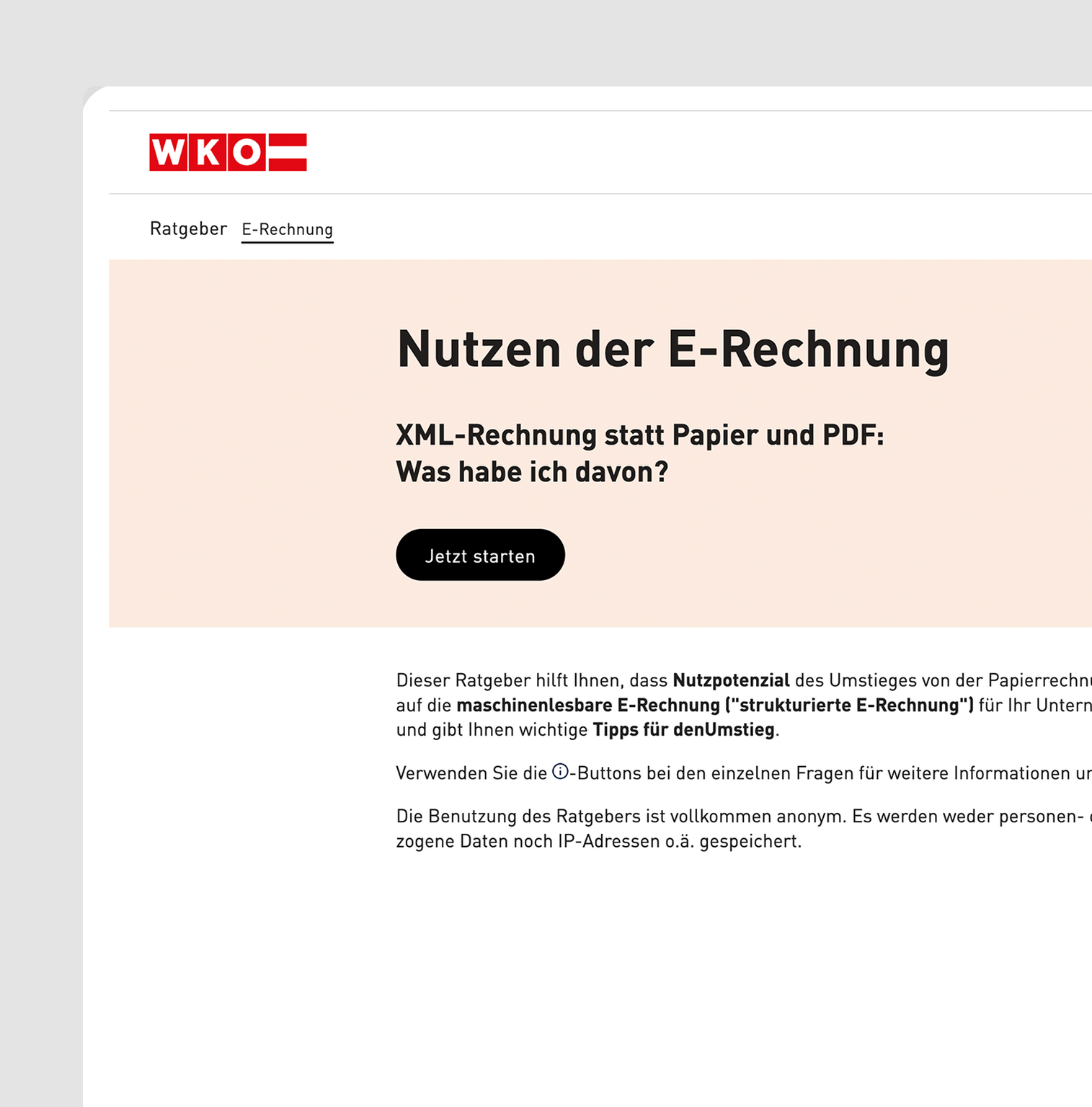 WKO E-Rechnung Ratgeber in UNOY