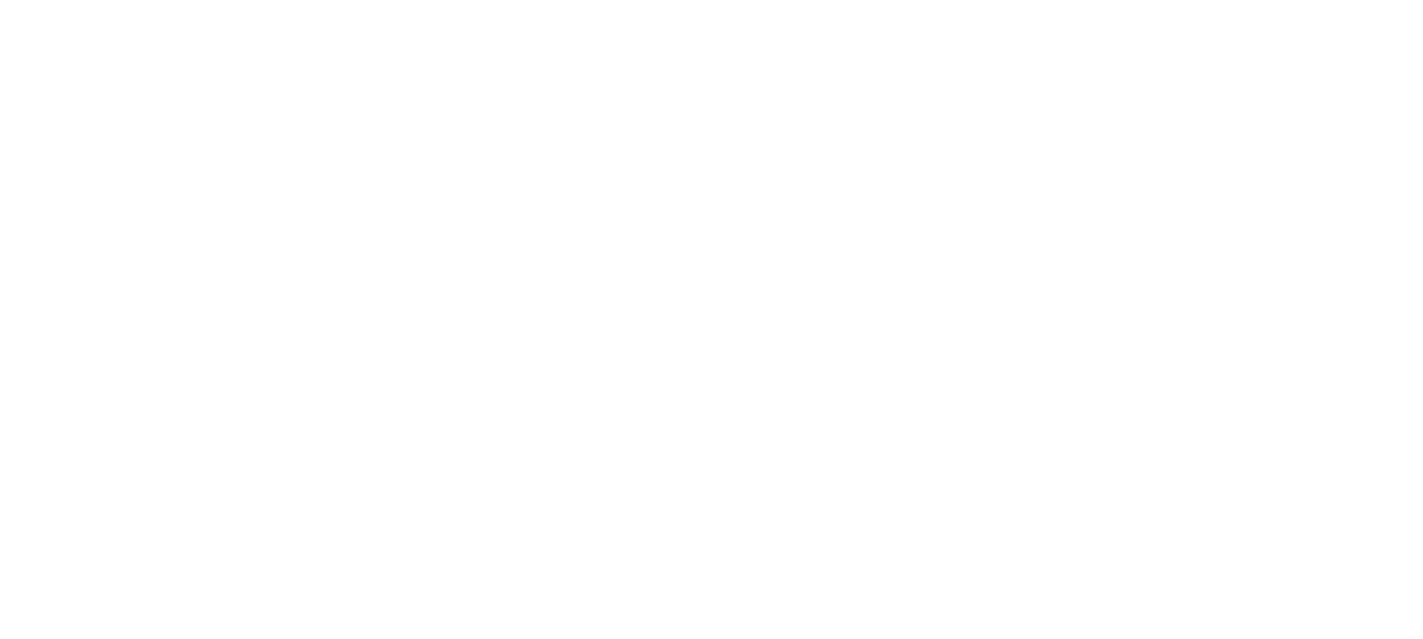 Meyer Parkett Logo