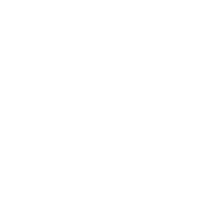 SKW Schwarz Logo